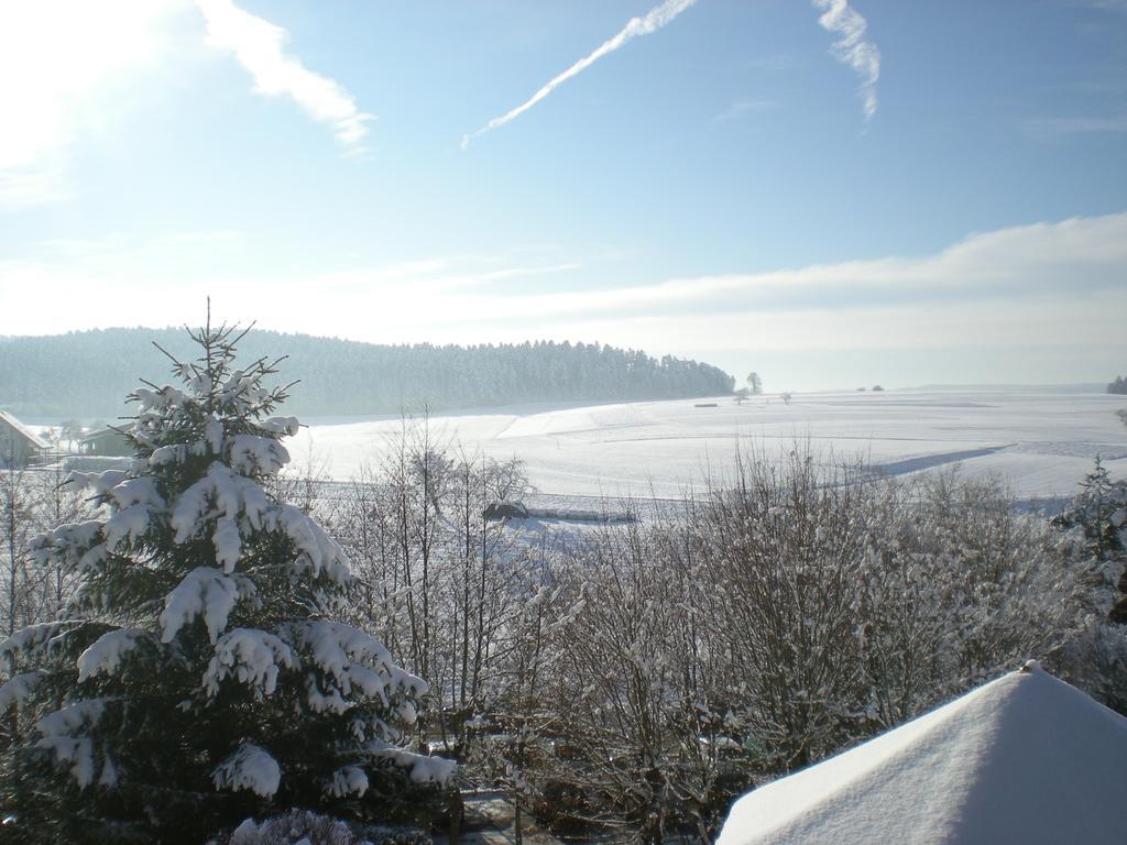 Hotel Hotel Waldachtal 3*